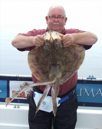 14 lb Undulate Ray by Guillaume Borremons
