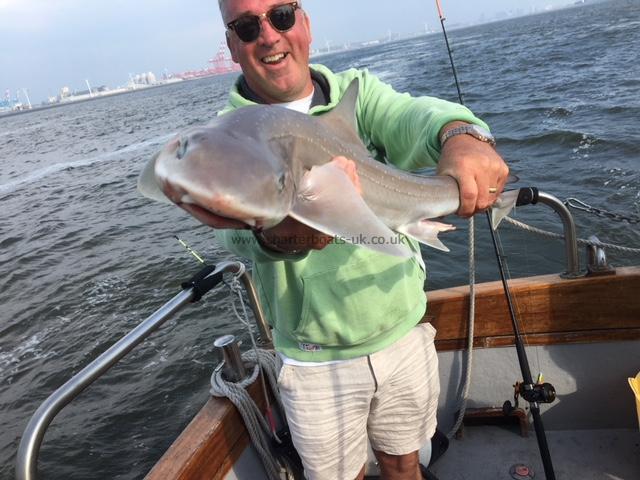 9 lb Starry Smooth-hound by geoff howard