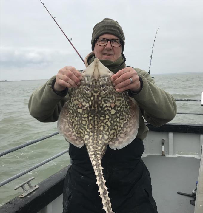 7 lb Thornback Ray by Unknown