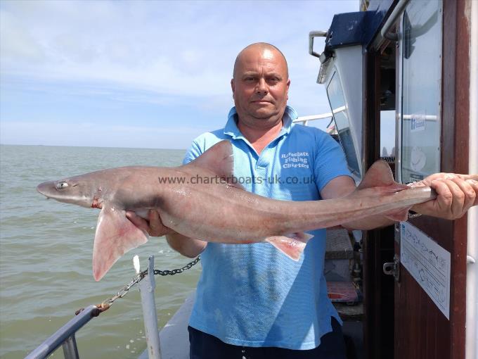7 lb Starry Smooth-hound by Ian