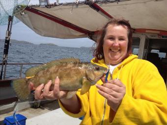 2 lb 8 oz Ballan Wrasse by Alison G