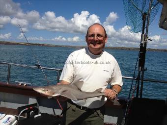 6 lb Starry Smooth-hound by Phil from Cardiff
