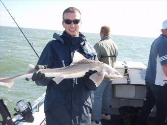 6 lb Smooth-hound (Common) by Unknown