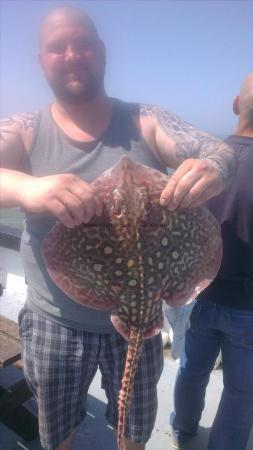 5 lb Thornback Ray by hendrix from russia