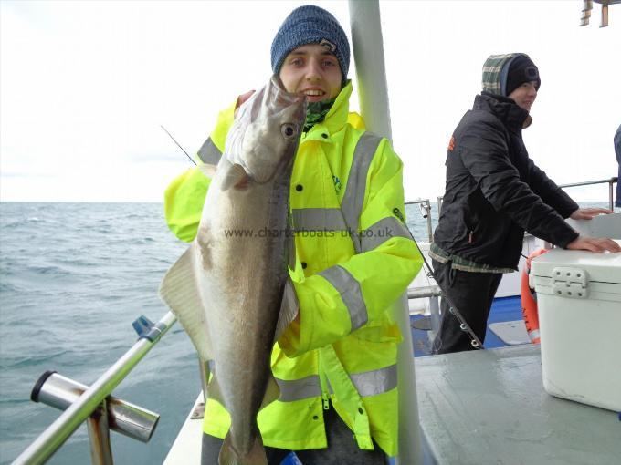 11 lb 6 oz Pollock by Sam