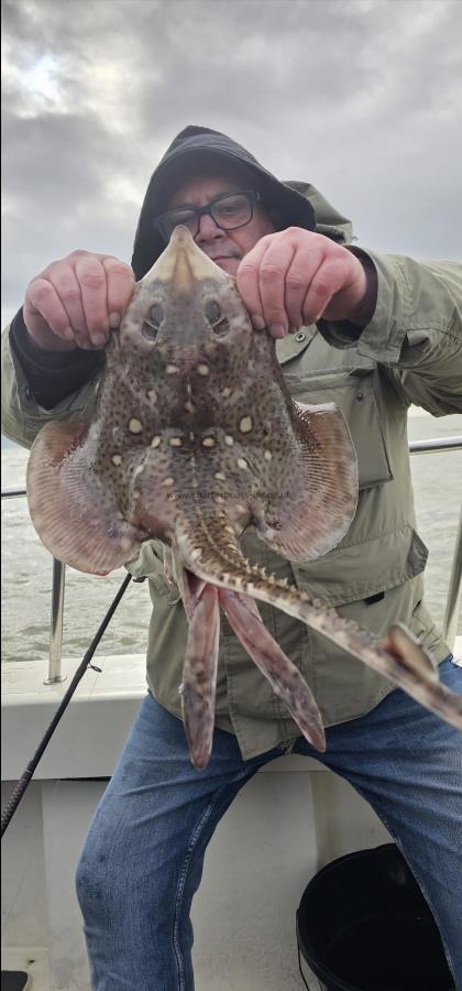 4 lb Thornback Ray by Pete