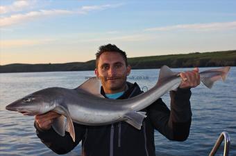 14 lb Starry Smooth-hound by Robin