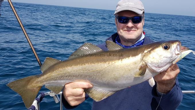 7 lb 9 oz Pollock by Dave