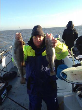 5 lb 3 oz Cod by Unknown