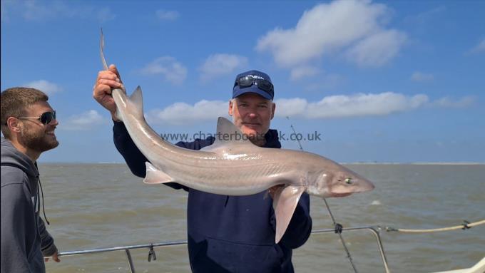 15 lb 8 oz Starry Smooth-hound by Phil
