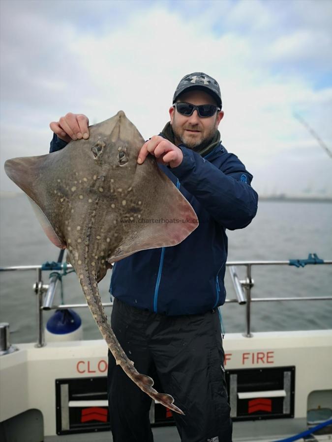 7 lb Thornback Ray by Unknown