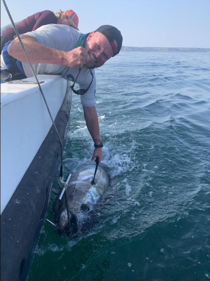 400 lb Bluefin Tuna by Unknown