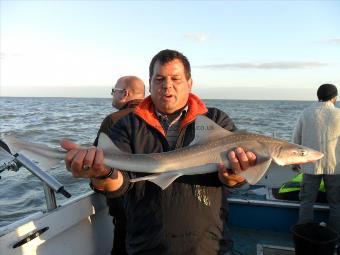 6 lb Smooth-hound by Paul