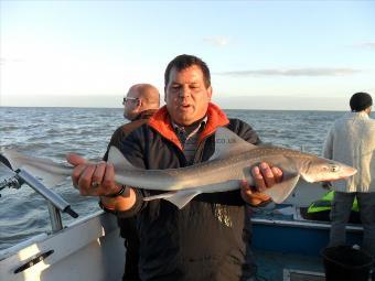 6 lb Smooth-hound (Common) by Paul