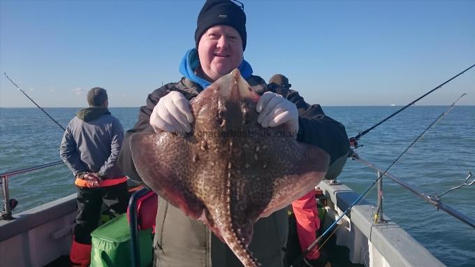 9 lb 8 oz Thornback Ray by Unknown