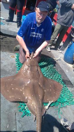 75 lb Common Skate by stewart walker