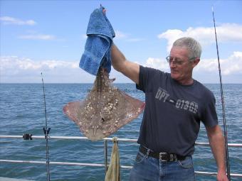 10 lb 8 oz Thornback Ray by tony