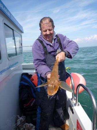 3 lb 6 oz Tub Gurnard by Robbie Blues