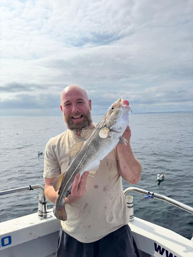 3 lb 8 oz Cod by Unknown