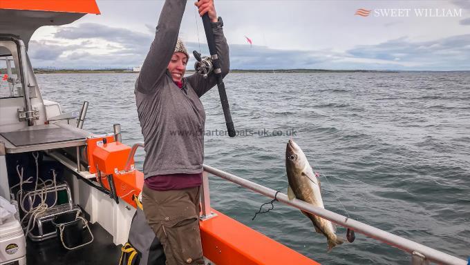 3 lb 6 oz Pollock by Amelia Henderson