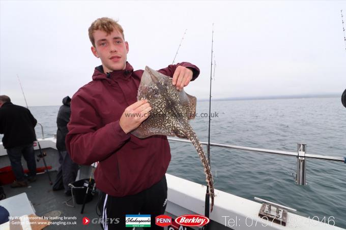 5 lb Thornback Ray by Luke