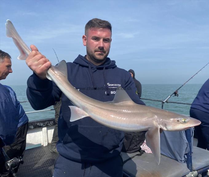 7 lb Smooth-hound (Common) by Unknown