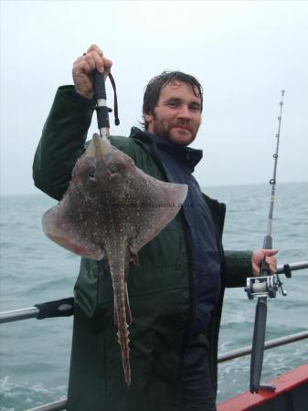 4 lb Thornback Ray by Unknown