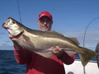 15 lb 3 oz Pollock by Unknown