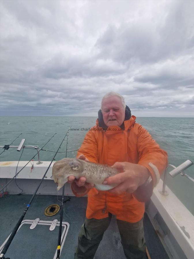 1 lb 5 oz Cuttlefish by Graham aka Dave