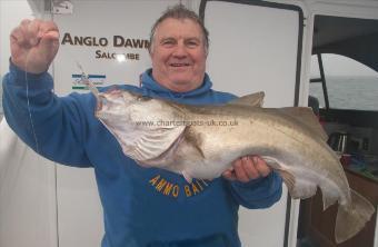 15 lb 8 oz Pollock by Norman Barry