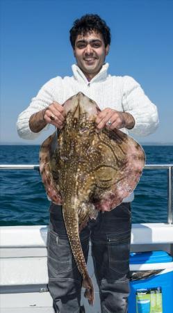 15 lb Undulate Ray by Ali Fotouhi