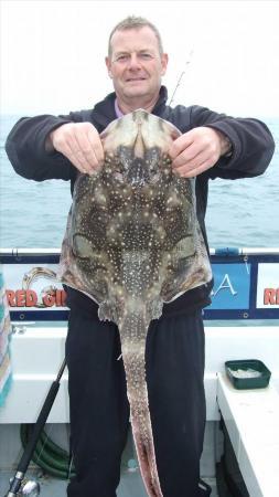 13 lb Undulate Ray by Kevin Renton