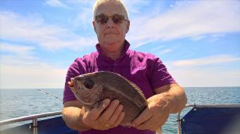 2 lb Black Sea Bream by Stephen Wake