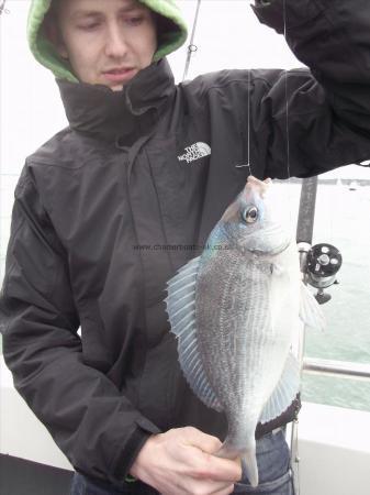 2 lb Black Sea Bream by Unknown