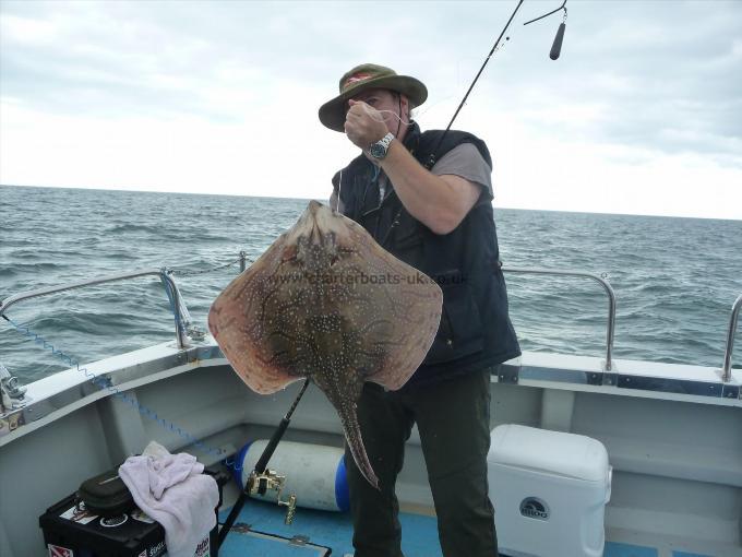 12 lb Undulate Ray by Unknown