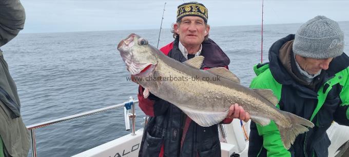 15 lb 4 oz Pollock by Saab