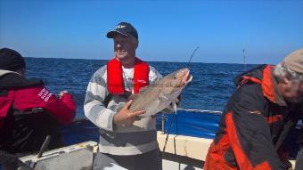 11 lb Cod by Stephen Wake