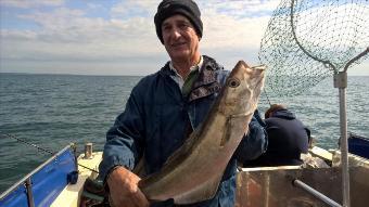 8 lb Pollock by Stephen Wake