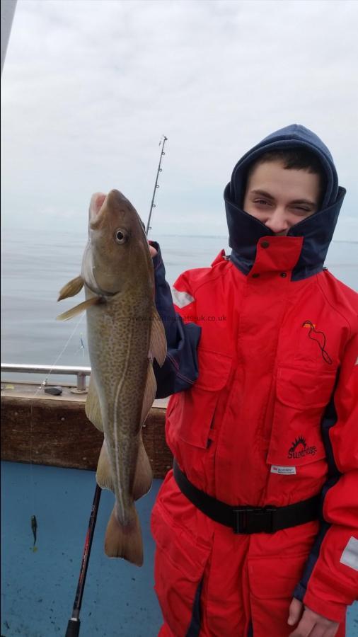 5 lb Cod by Unknown