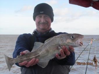 3 lb 5 oz Cod by Chris Merrison