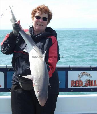 16 lb 8 oz Spurdog by Denise Youngs