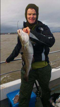 8 lb Cod by james bromhead