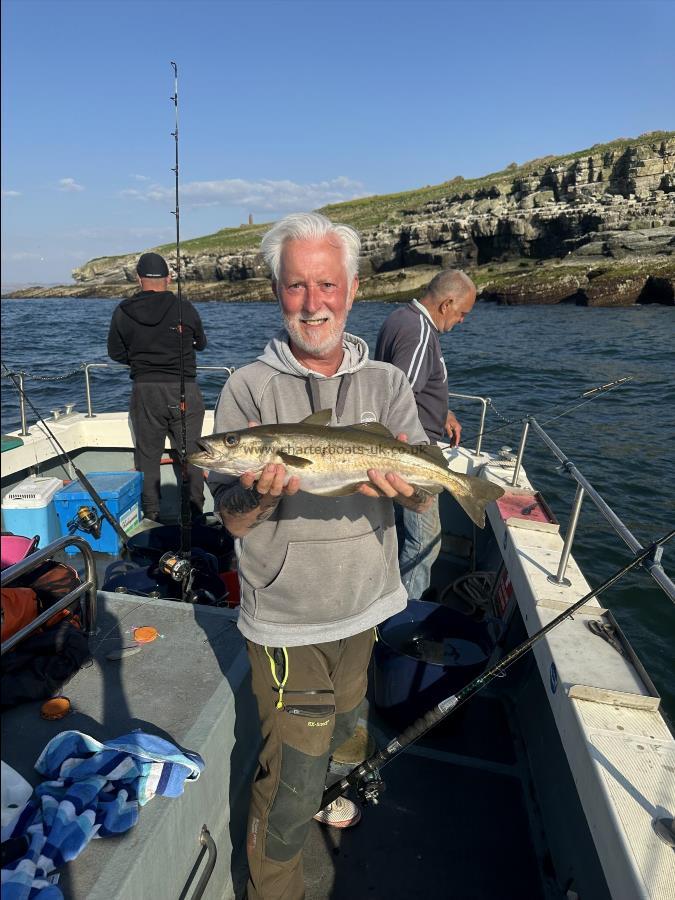 3 lb 10 oz Pollock by Craig