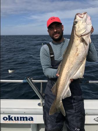 16 lb 8 oz Pollock by Kevin McKie