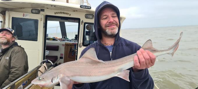 6 lb Starry Smooth-hound by Lee