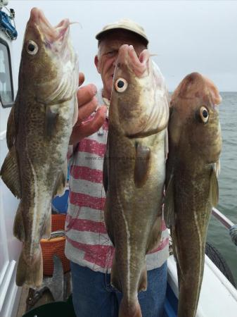 4 lb Cod by erico from barnsley with his 3 cod 8th may 2015