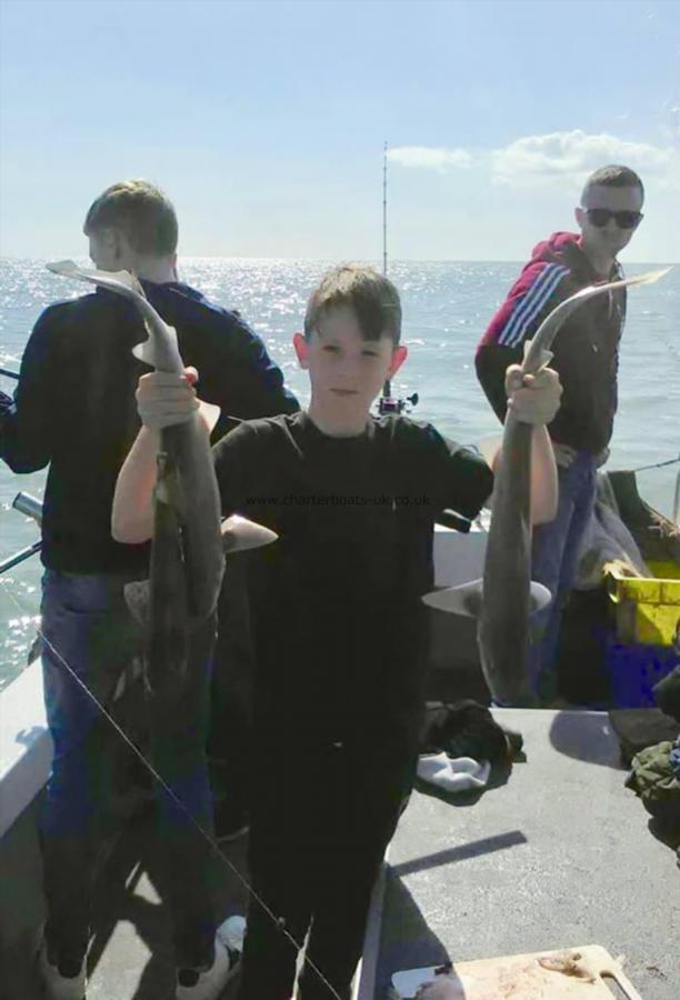 3 lb 4 oz Smooth-hound by Big George