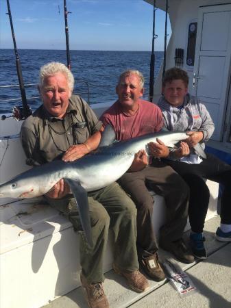 75 lb Blue Shark by stuart cross