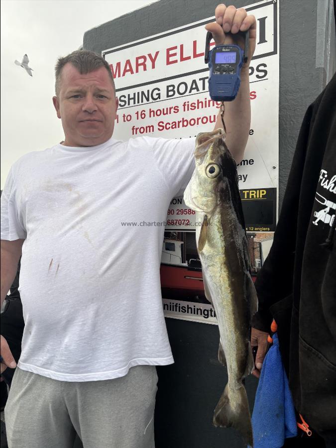 4 lb 8 oz Pollock by Unknown
