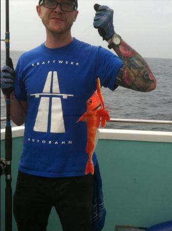 1 lb 2 oz Red Gurnard by Unknown